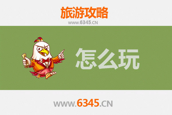 景东假日探秘：茶乡风情与自然奇观的完美之旅
